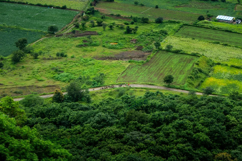 Devanahalli Airport Corridor Farm Plots, Devanahalli, Bengaluru Rural