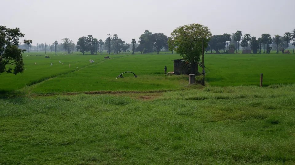 Devanahalli Airport Corridor Farm Plots